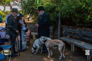 Jordi González-Classics-Motors-Sabadell-InspiraArrels-DSC_3524