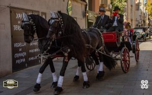 Jordi González-Classics-Motors-Sabadell-InspiraArrels-DSC_3560