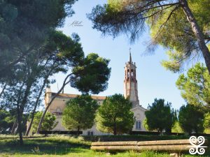 Fontada de la Salut_2025 - Alberto Rodriguez Barbero_662