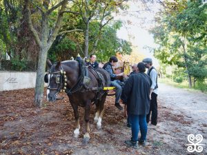 Fontada de la Salut_2025 - Alberto Rodriguez Barbero_689