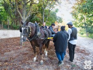 Fontada de la Salut_2025 - Alberto Rodriguez Barbero_690