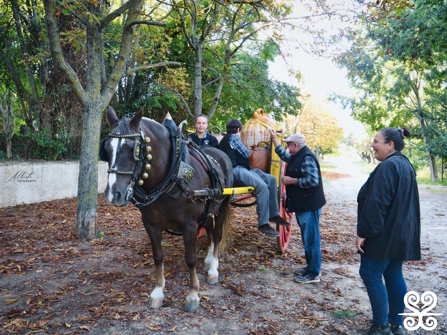 Fontada de la Salut_2025 - Alberto Rodriguez Barbero_692