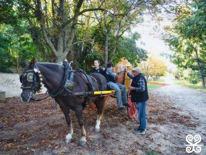 Fontada de la Salut_2025 - Alberto Rodriguez Barbero_693