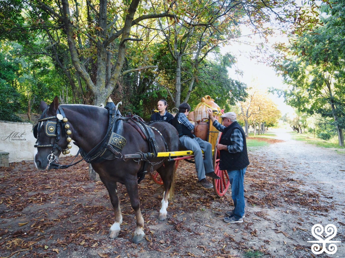 Fontada de la Salut_2025 - Alberto Rodriguez Barbero_693