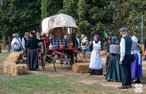 Fontada de la Salut_2025 - Inspira Arrels_2261