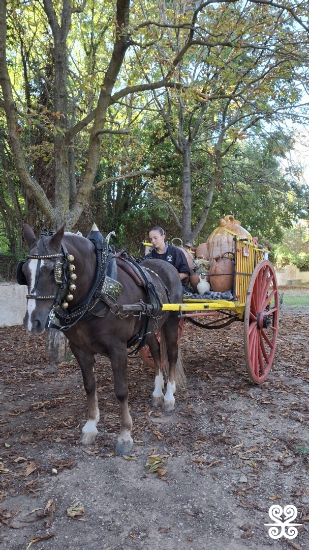 Fontada de la Salut_2025 - Inspira Arrels_ 11.38.29 (7)