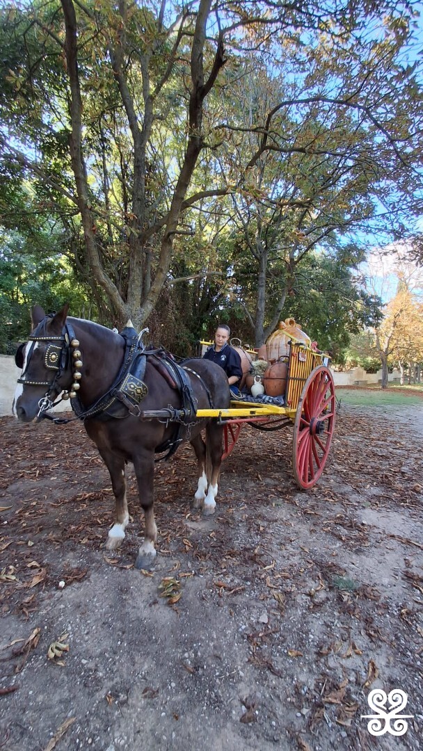 Fontada de la Salut_2025 - Inspira Arrels_ 11.38.29 (8)