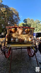 Fontada de la Salut_2025 - Inspira Arrels_ 11.38.30 (2)