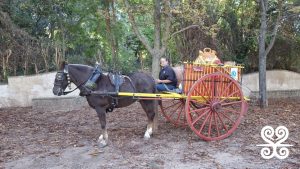 Fontada de la Salut_2025 - Inspira Arrels_ 11.38.30 (5)