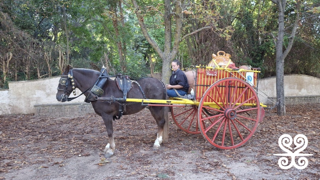 Fontada de la Salut_2025 - Inspira Arrels_ 11.38.30 (5)